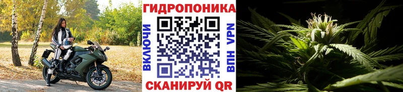 KRAKEN зеркало  Избербаш  Каннабис гибрид 